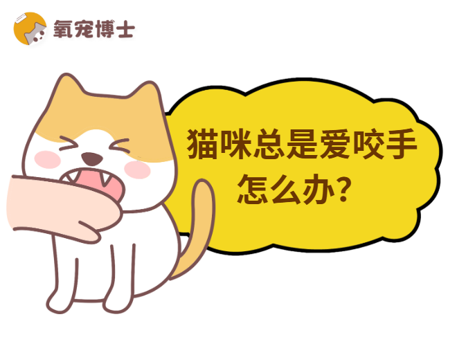 猫咪总是爱咬人的手怎么办？别再以暴制暴