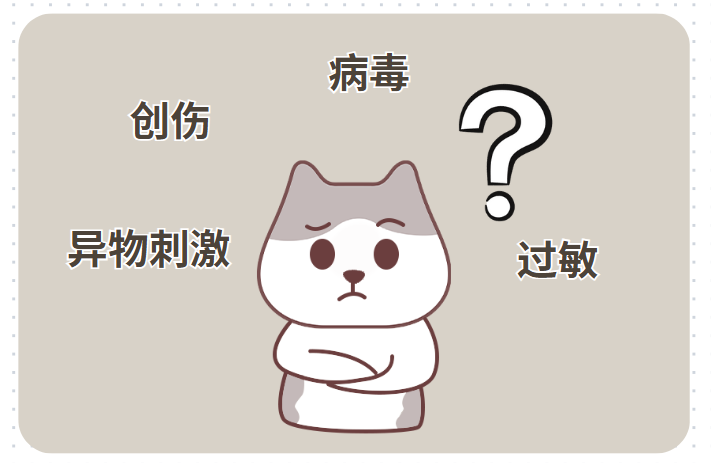 狗狗眼睛發紅睜不開怎麼辦？
