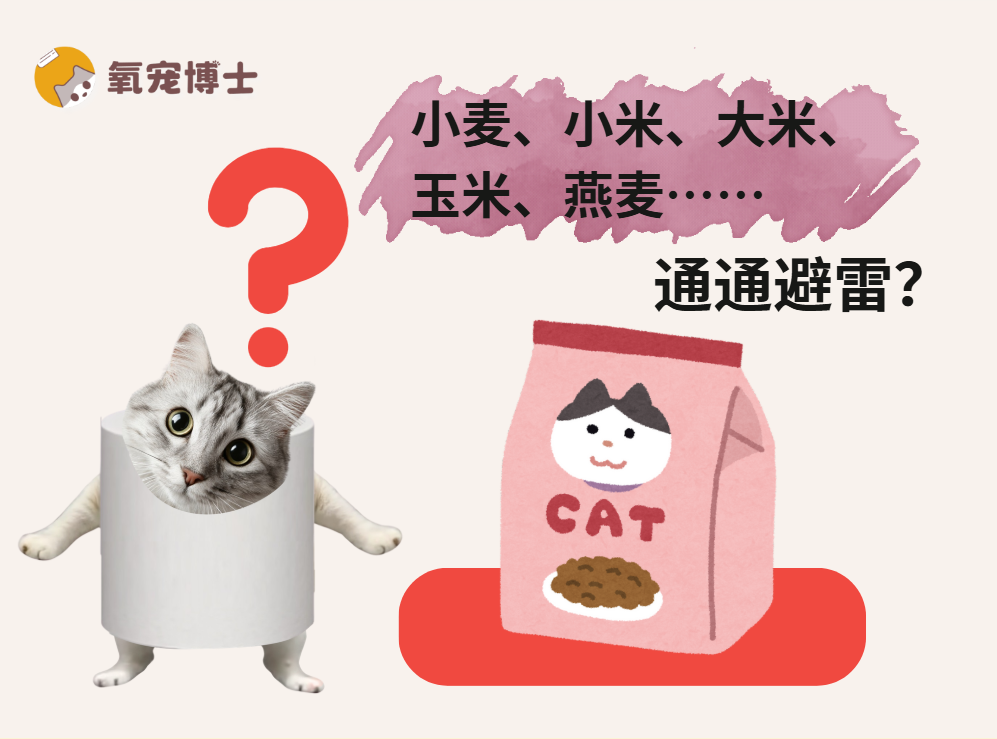 猫粮有谷物一定不能买吗？