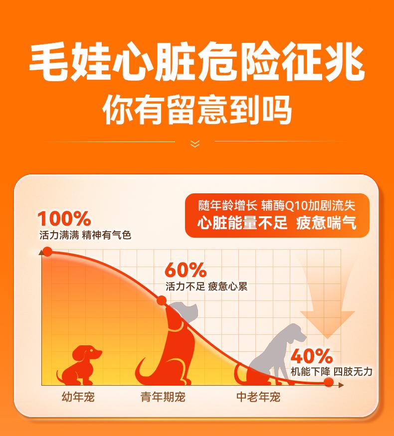 宠物辅酶Q10