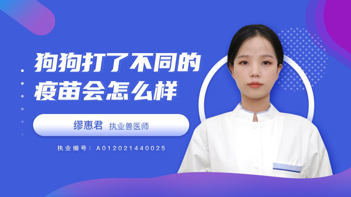 狗狗打了不同的疫苗会怎么样？