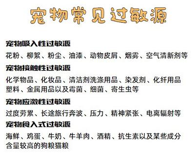 揭秘！狗狗过敏时的最佳食物清单