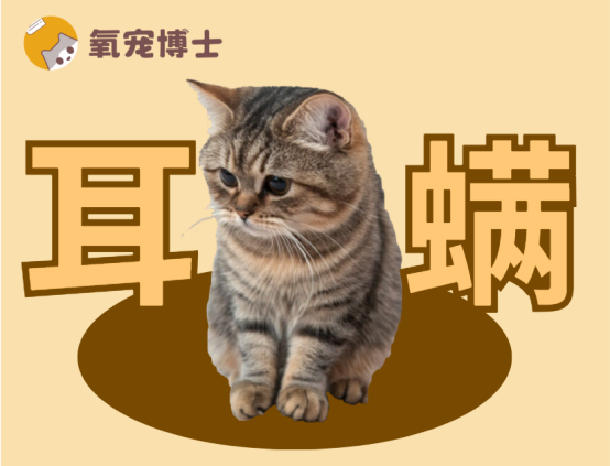 狗狗耳螨怎么治用什么药