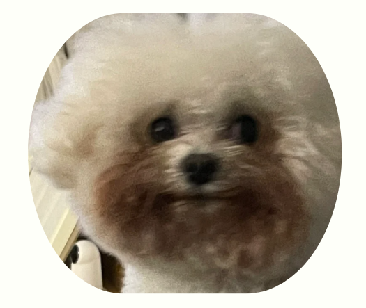 狗狗淚痕