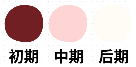 母猫生完小猫后出血