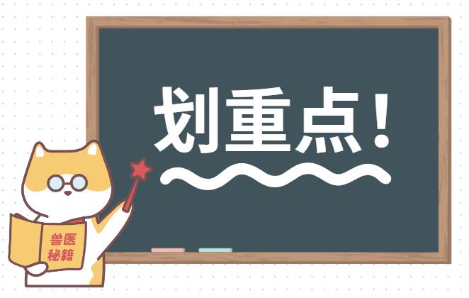 狗狗眼角長紅色的肉怎麼辦？