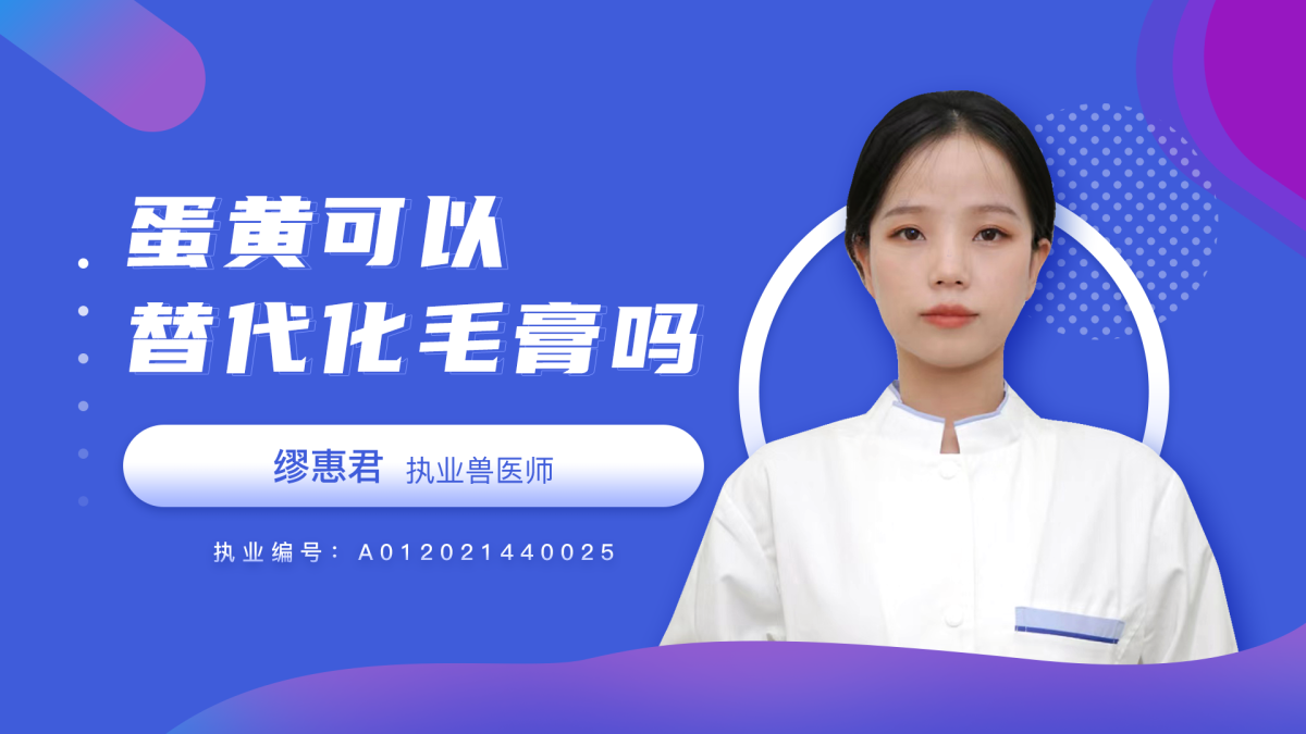 蛋黃可以替代化毛膏嗎？