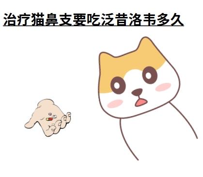 治疗猫鼻支要吃泛昔洛韦多久？