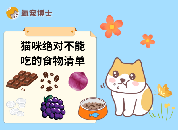猫咪绝对不能吃的人类食物有哪些？