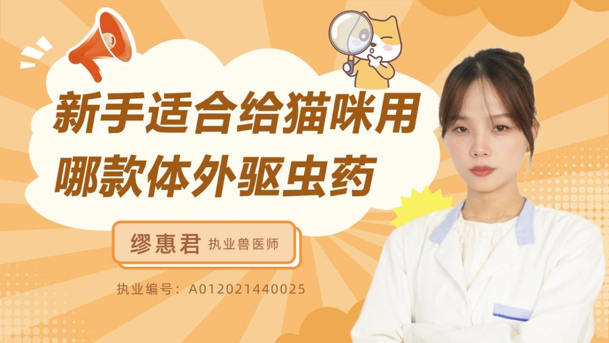 新手适合给猫咪用哪款体外驱虫药？