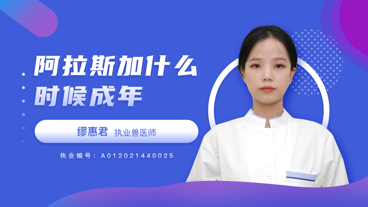 阿拉斯加什么时候成年？