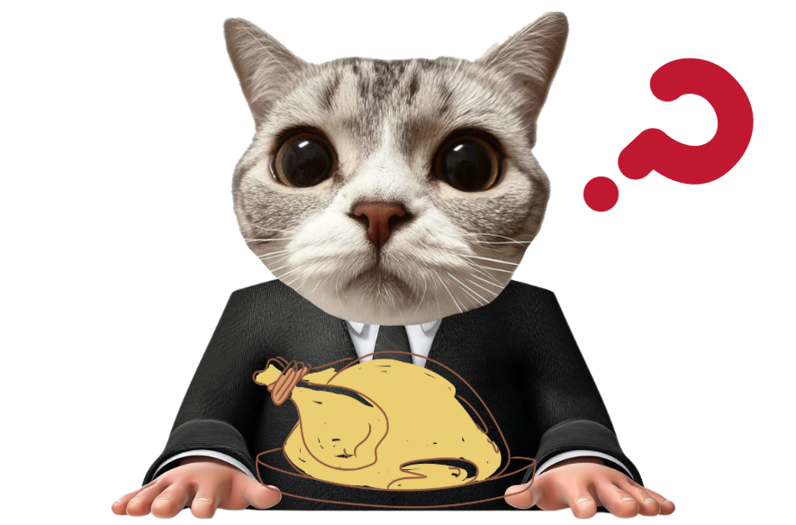 别乱喂水煮肉！家养猫狗生食、熟肉、商品粮喂养优劣全解析