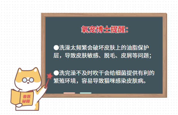 猫一直掉毛很严重