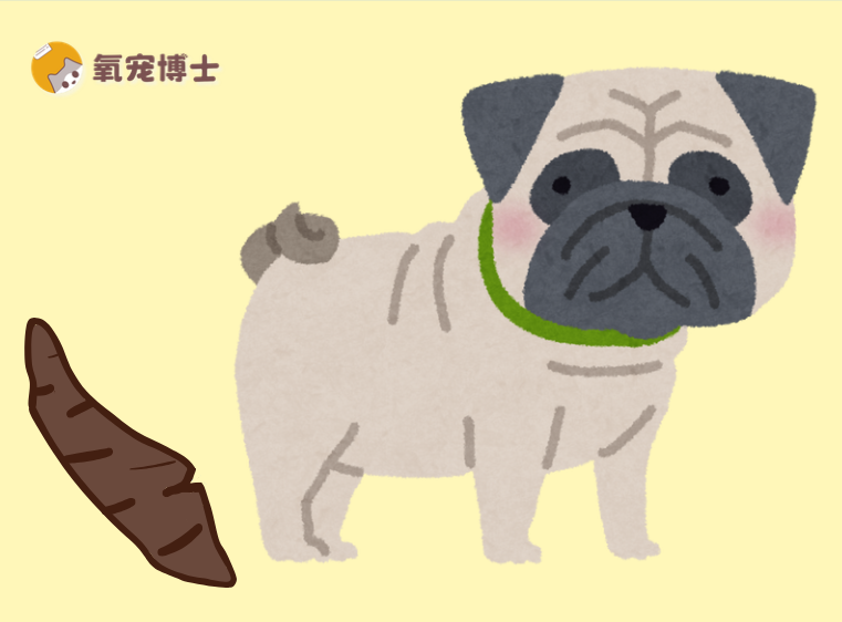 狗狗拉屎先干后稀是怎么回事？