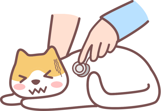 貓咪感冒症狀