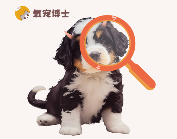 一眼看懂！如何自查刚到家的小狗是否健康？