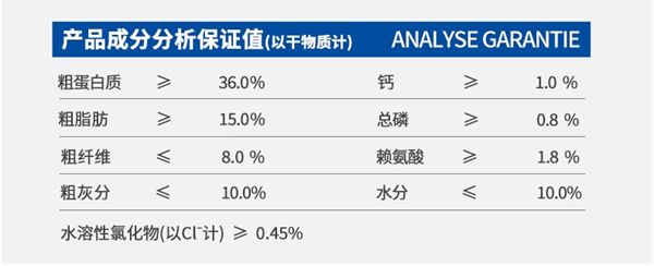 狗糧測評