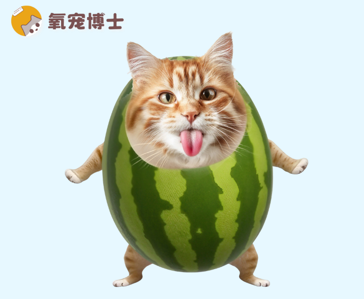 貓咪絕育會變醜嗎？真相來了