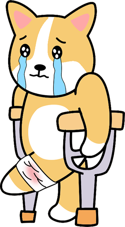 狗狗缺钙