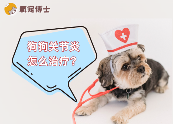 狗狗关节炎怎么治疗？