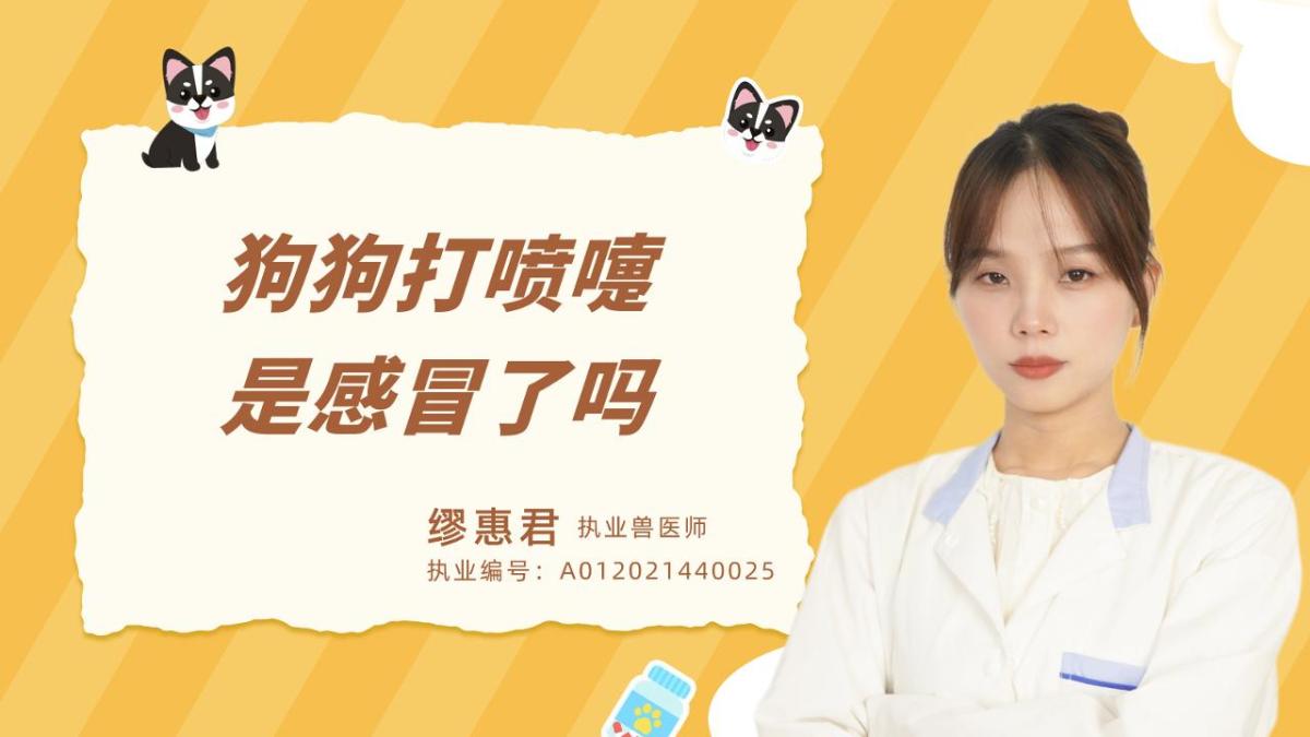 狗狗打喷嚏是感冒了吗？