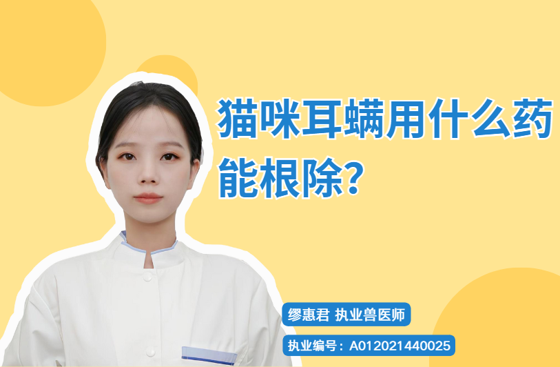 【宠医科普】猫咪耳螨用什么药能根除？
