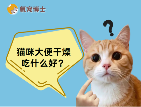 鏟屎官必看！貓咪大便幹燥吃什麼好？
