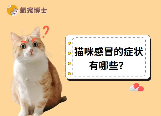 猫咪总打喷嚏是感冒了吗？