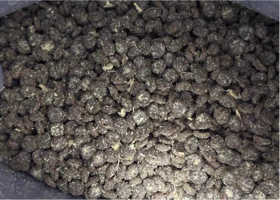 聪颖猫粮好不好