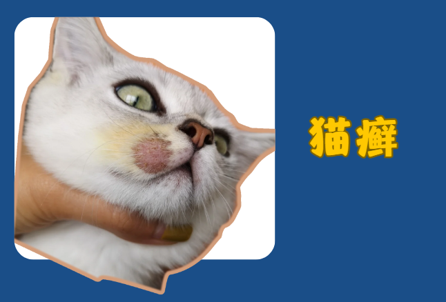 猫皮肤病