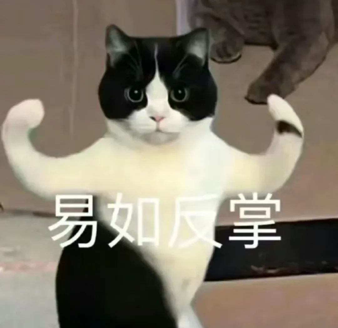 猫癣怎么治？