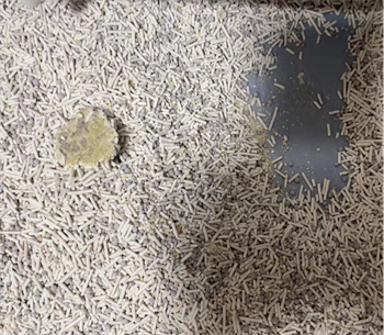 猫砂测评