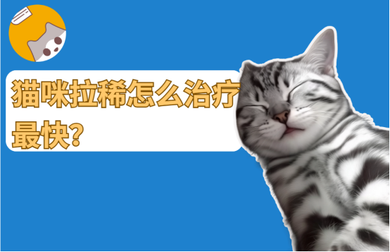 猫咪拉稀怎么治疗最快？