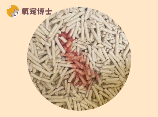 猫咪尿血在家怎么治疗？
