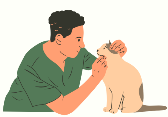 猫耳朵里有黑褐色的东西