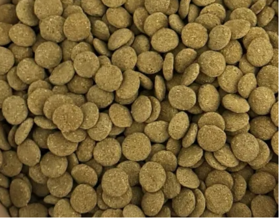 哪款低脂狗粮比较好？