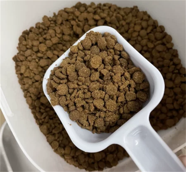 奶思的猫粮好吗？