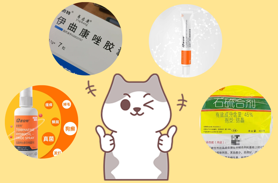 猫癣用什么药效果好？